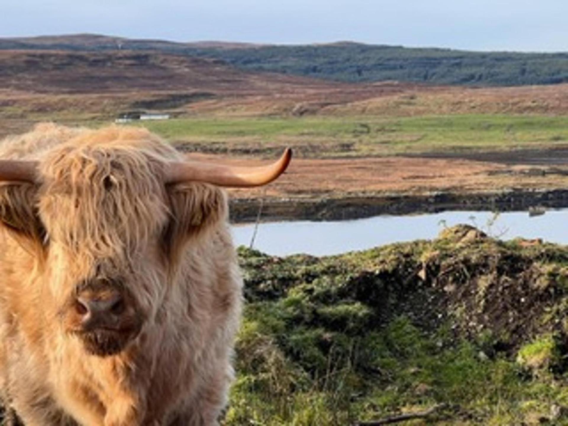 Вилла No 4 Old Post Office Row Isle Of Skye - Book Now! Eyre Экстерьер фото